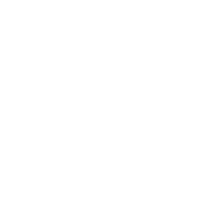 Seedance 2.5